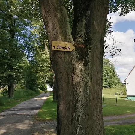 Lägenhet U Pilnych
