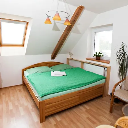 U Pilnych Apartamento *